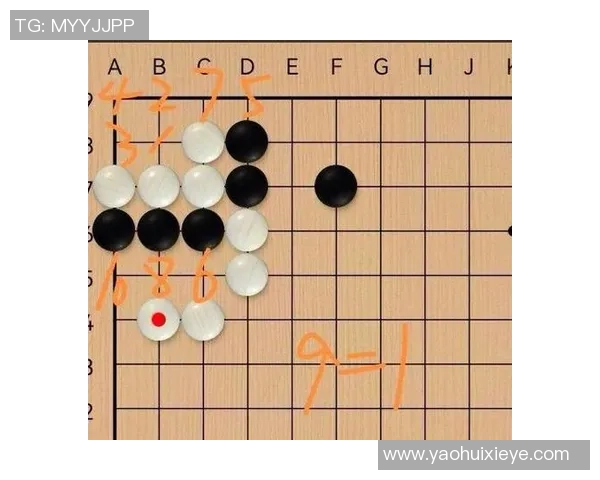 杭州排球队战术解析：聚焦球队战术创新与实战应用